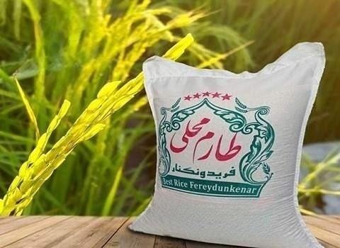 خرید و فروش برنج ایرانی طارم محلی با شرایط فوق العاده